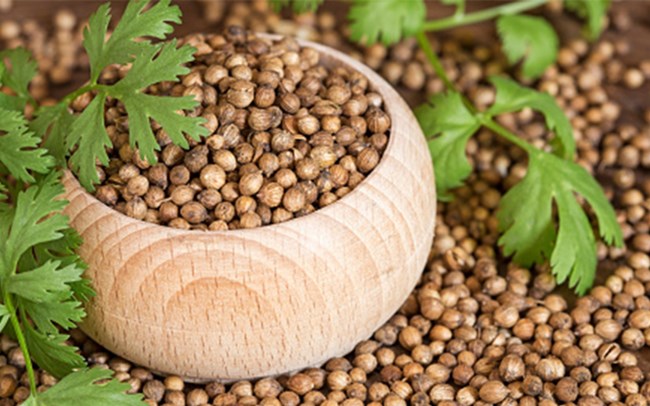 Coriander by Tarkari Naturals Is Going To Your New Special Ingredient!