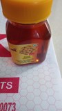 Himachal Forest Honey 