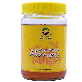 Raw & Wild Honey-500g