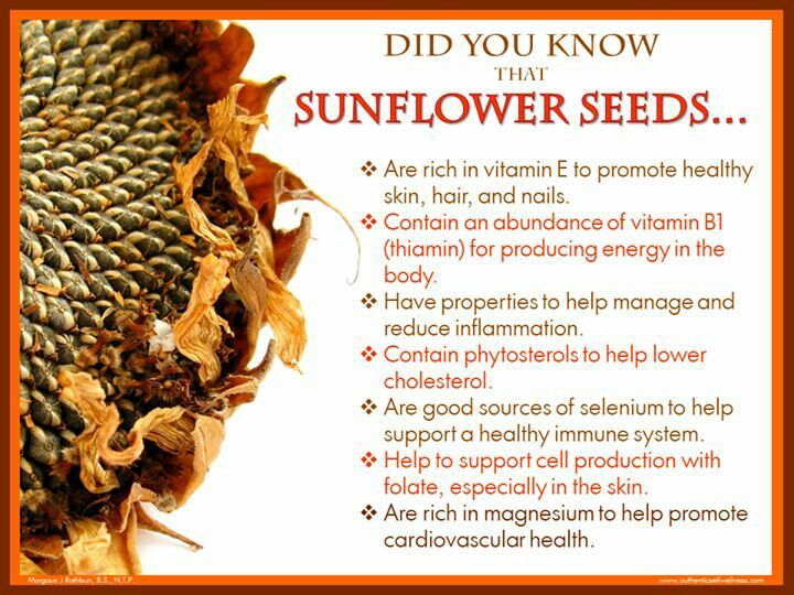 Organo Nutri Roasted Salted Sunflower Seeds, Buy Organo Nutri Roasted  Salted Sunflower Seeds online, buy organic food online - FTB Organic