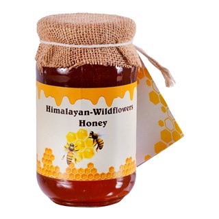 Himalayan Wild Flower Honey -500g