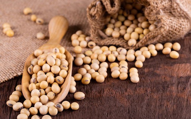 Diet Soya Bean And Why It's GREAT For You!