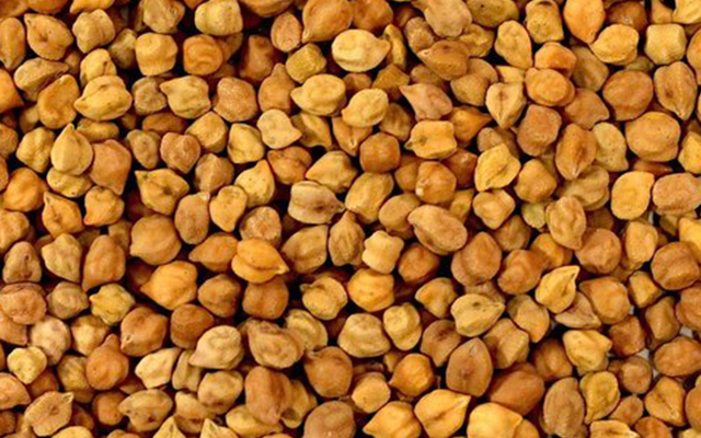 chana-desi-kanta-a-store-house-of-protein