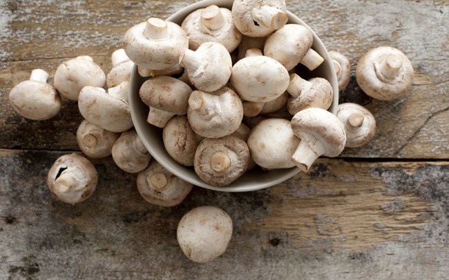 Try Mushrooms in a Completely New Form!