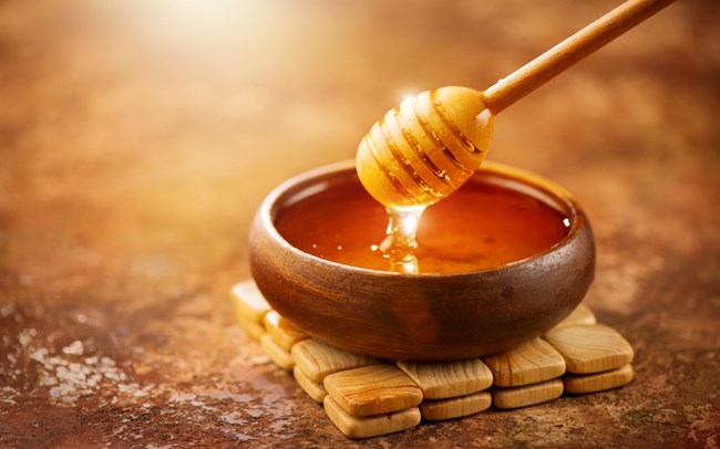 Why Stingless Bee Honey is One of the Best Sugary Foods to Have!