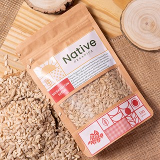 Native Organica Musk Mellon Seeds-200g
